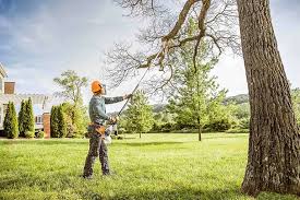 Trusted Kibler, AR  Tree Services Experts