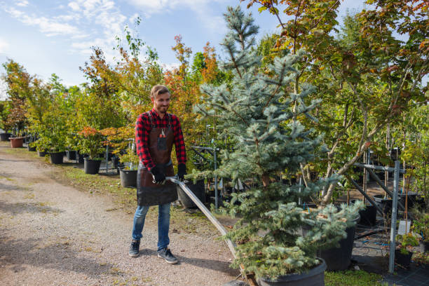 Mulching Services in Kibler, AR